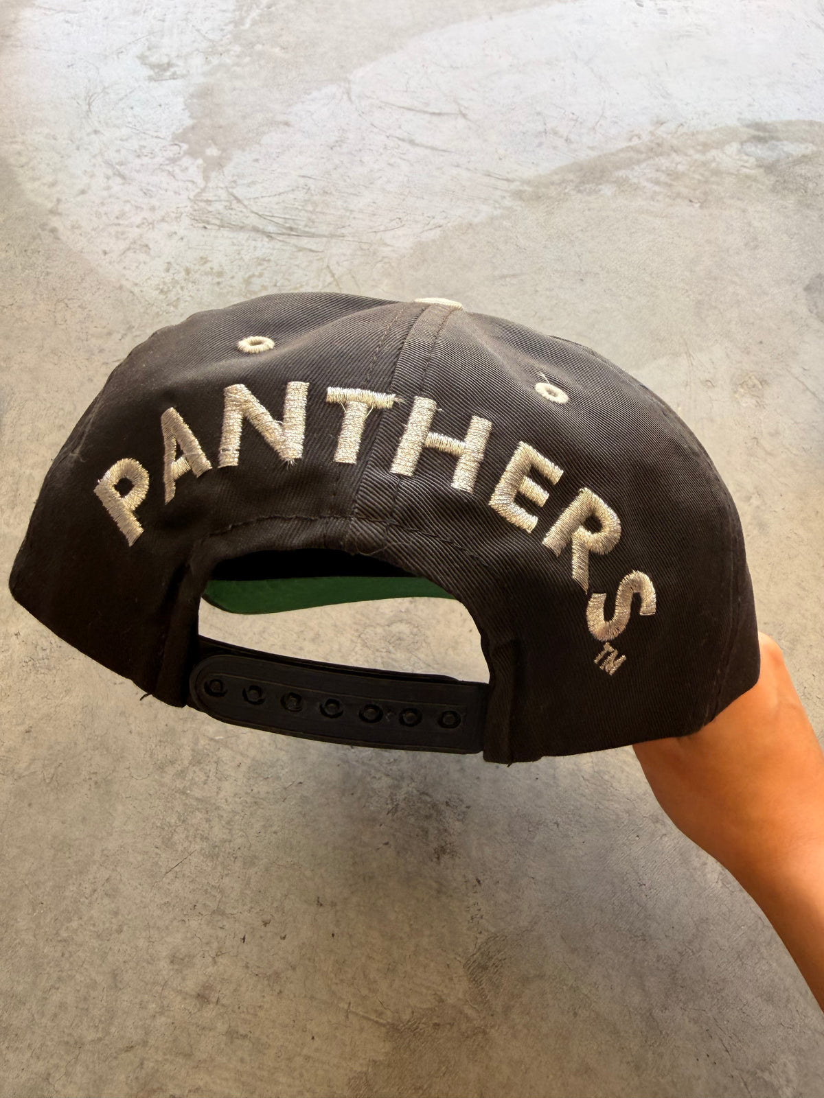 Panthers competitors black hat